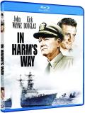 In Harm's Way front cover