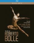 The Art of Roberto Bolle front cover