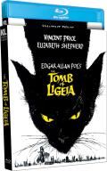 The Tomb of Ligeia front cover