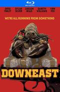 Downeast (distorted) cover