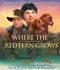 Where the Red Fern Grows front cover
