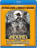 The Hound of the Baskervilles (1978) front cover