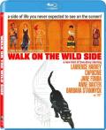Walk on the Wild Side front cover