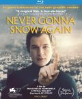 Never Gonna Snow Again front cover