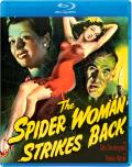 The Spider Woman Strikes Back front cover