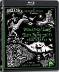 Woodlands Dark and Days Bewitched front cover