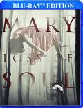 Mary Loss of Soul front cover
