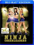 Ninja Cheerleaders front cover