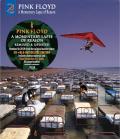Pink Floyd: A Momentary Lapse Of Reason front cover