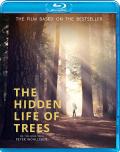 The Hidden Life of Trees front cover