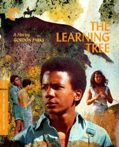 the-learning-tree-criterion-collection-cover.jpg
