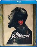 The Day of Destruction front cover
