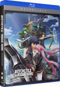 Aesthetica of a Rogue Hero: Complete Series (Essentials) front cover