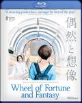 Wheel Of Fortune And Fantasy front cover