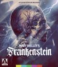 Mary Shelley's Frankenstein front cover
