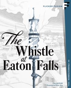 The Whistle at Eaton Falls front cover