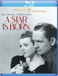 A Star Is Born (1937) Warner Archive Collection front cover