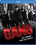 Gang front cover
