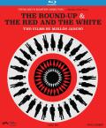The Round-Up & The Red and the White - Two Films By Miklós Jancsó front cover
