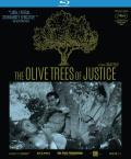 The Olive Trees of Justice front cover