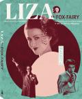 Liza the Fox Fairy front cover