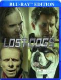 Lost Dogs front cover