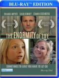 The Enormity of Life (Bayview) front cover