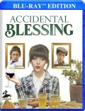 Accidental Blessing front cover