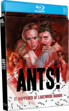Ants! front cover