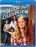 Where the Lilies Bloom front cover