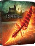 Fantastic Beasts: The Secrets of Dumbledore - 4K Ultra HD Blu-ray [Best Buy Exclusive SteelBook] front cover