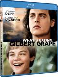 What's Eating Gilbert Grape front cover