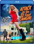 Attack of the 50 Foot CamGirl front cover
