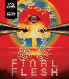Final Flesh front cover