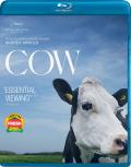 Cow (2021) front cover