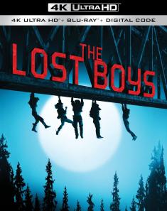 The Lost Boys - 4K Ultra HD Blu-ray front cover