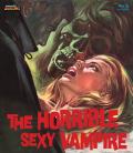 The Horrible Sexy Vampire front cover