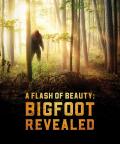 A Flash of Beauty: Bigfoot Revealed poster