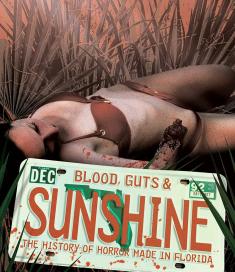 Blood, Guts and Sunshine front cover