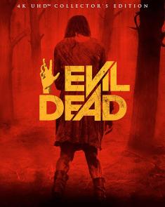Evil Dead (2013) - 4K Ultra HD Blu-ray front cover2