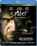 Spider front cover