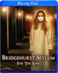 Bridgehurst Asylum for the Sane front cover