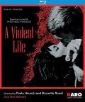 A Violent Life front cover