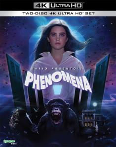 Phenomena - 4K Ultra HD Blu-ray front cover
