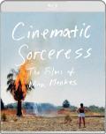 Cinematic Sorceress: The Films of Nina Menkes front cover