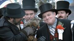 Groundhog Day backdrop