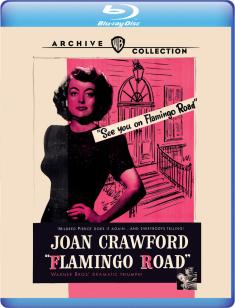 Flamingo Road front cover