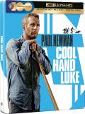 Cool Hand Luke - 4K Ultra HD Blu-ray [Best Buy Exclusive SteelBook] front cover