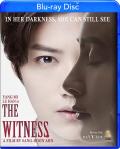 The Witness front cover