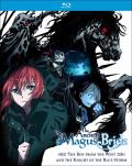ancient-magus-bride-boy-from-the-west-knight-from-the-blue-storm-crunchyroll-highdef-digest-cover.jpg